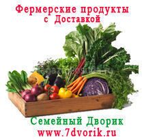 7dvorikbanner